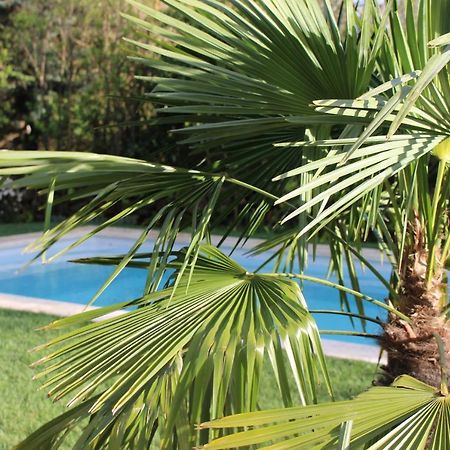Les Romarins B&B, 10 Min D'Uzes, Piscine Et Grand Jardin, Table D'Hote Esterno foto