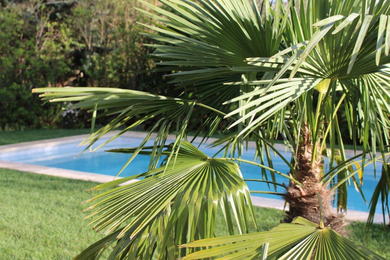 Les Romarins B&B, 10 Min D'Uzes, Piscine Et Grand Jardin, Table D'Hote Esterno foto